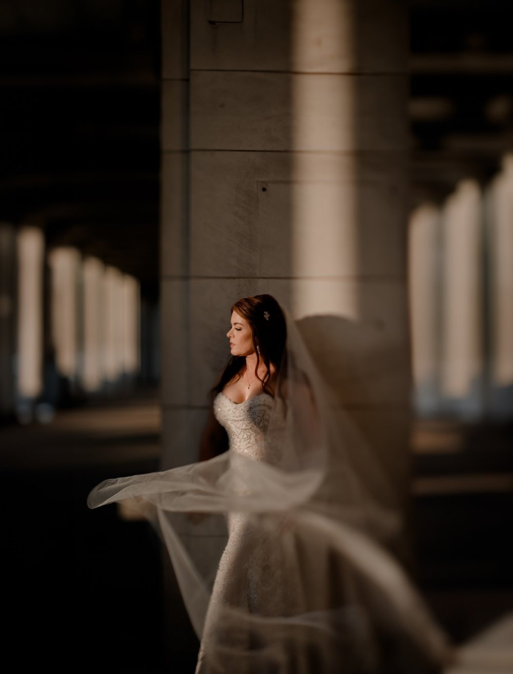 carousel-hero-element image-0